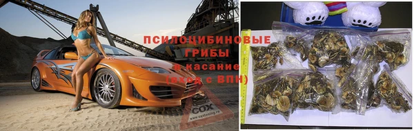 скорость Заводоуковск