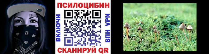 Купить где  Стрежевой  Псилоцибиновые грибы MAGIC MUSHROOMS 